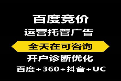 行业领先SEM服务公司案例研究